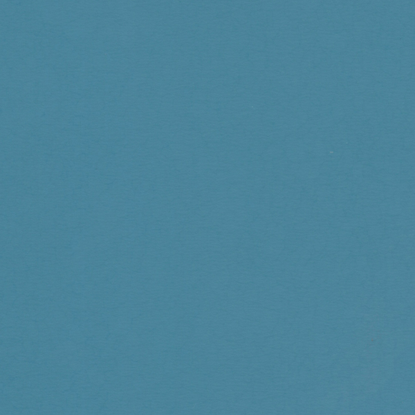 Blue Daisy